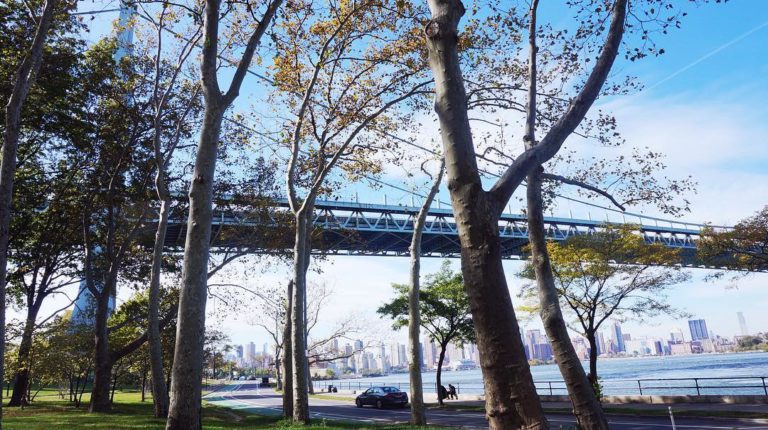 Astoria Park Anniversary