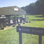 My First Barn Sale in the Hudson Valley