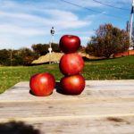 PINTEREST WIN OR FAIL: Glazed Apple Cinnamon Oatmeal Bread