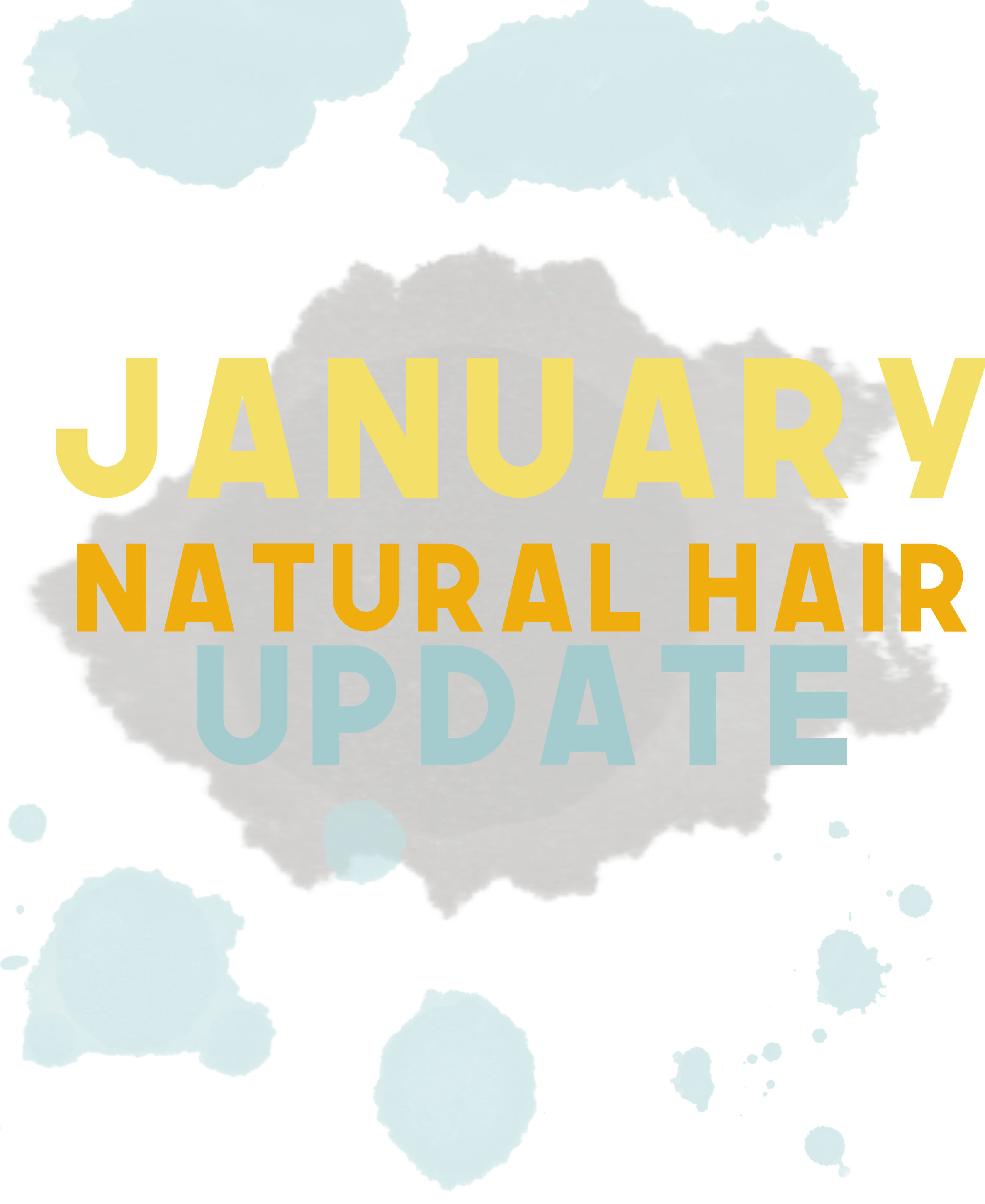 January 2018 Natural Hair Update